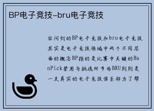 BP电子竞技-bru电子竞技